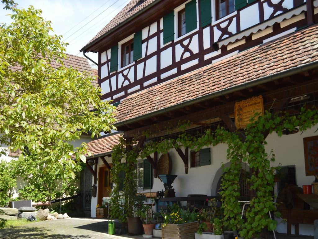 Hotel Zum Torkelhaus à Sipplingen Extérieur photo